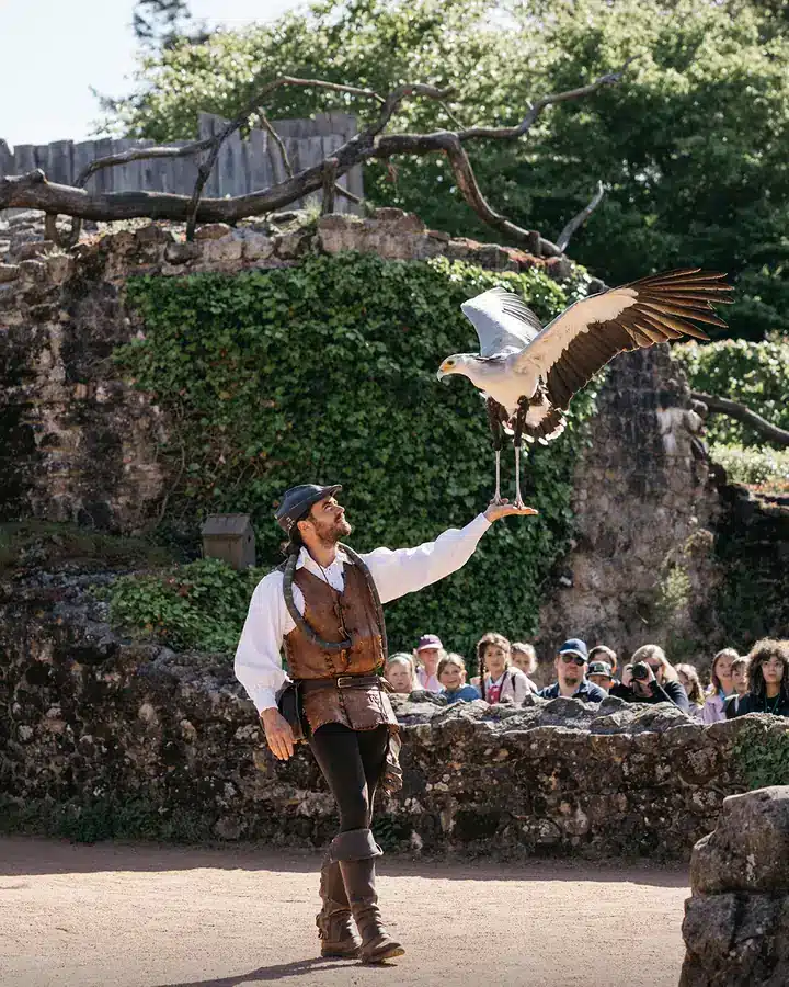 Fauconnier et rapace au spectacle du Bal des Oiseaux Fantômes, Puy du Fou